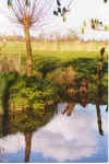 Abendsuenn oeber Wischen un Wettern 10-99-02.jpg (27521 Byte)