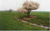 He blht 12-00-28.jpg (24042 Byte)
