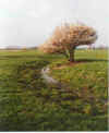 In Snn un Water 14-00-04a.jpg (22417 Byte)