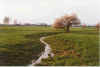 Lingelang de Grp 14-00-16a.jpg (24753 Byte)