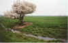 Merrnmang int Grn 13-00-04a.jpg (24929 Byte)