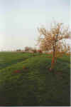 Muulwarp 07-00-09a.jpg (19760 Byte)