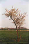 Spittel 15-00-13a.jpg (23848 Byte)