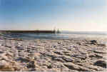 Ies opn Strand 13-98-32a.jpg (27364 Byte)