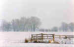 Rick inn Snee 13-98-04a.jpg (15279 Byte)