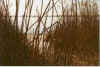 Doerkiek 01-97-05a.jpg (28833 Byte)