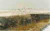 Eunten 04-99-23.jpg (22551 Byte)
