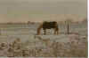 Goot todeckt 01-97-34a.jpg (16990 Byte)