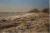 Ies ann Neen Strand 03-96-04a.jpg (23990 Byte)