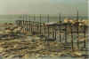 In les 04-96-23a.jpg (27580 Byte)
