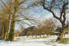 Mank Boeoem inn Snee 05-99-25.jpg (43923 Byte)