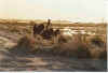 Mank les un Snee 04-96-11a.jpg (20111 Byte)