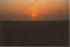 Morrns 18-91-03.jpg (8565 Byte)