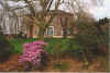 Rhododendron 15-91-20.jpg (36600 Byte)