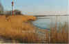 Wiet kieken 01-97-11a.jpg (21487 Byte)