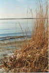 Winter int Reet 01-97-06a.jpg (32806 Byte)