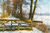 Winterkleed 06-99-32.jpg (36133 Byte)