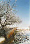 Wittfrost bi de Langhalser 04-99-15.jpg (33225 Byte)