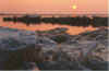 Iesschollen opn Strand 10-91-13.jpg (14238 Byte)