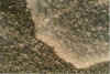 Infroren 14-91-20.jpg (35156 Byte)