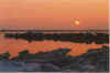 Packies in de Abendsuenn 01-91-15.jpg (12376 Byte)