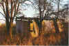 Teemlich ant End 01-99-32.jpg (40806 Byte)