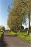 Diekreeg 14-99-01.jpg (78637 Byte)