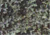 Pickelig 06-00-14a.jpg (38702 Byte)