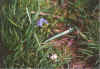 Snickenhuus 07-00-14a.jpg (30016 Byte)