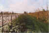 Wedderpart 20-91-26.jpg (27039 Byte)