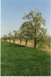 An de Grpp lang 17-00-22.jpg (30513 Byte)
