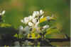 Blden 17-00-35.jpg (17774 Byte)