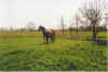 Dat eerste Mal buten 20-00-08.jpg (30968 Byte)