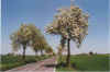 De Beerallee 19-00-15.jpg (28056 Byte)
