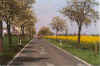 De Beerenboeoem bloeht 1-95-22a.jpg (29519 Byte)