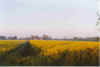 Doerp inne Morgensuenn 11-99-20.jpg (16148 Byte)