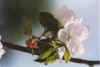 Een Droom in Witt 20-00-18.jpg (15308 Byte)