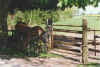 Fierabend 18-00-31a.jpg (34676 Byte)