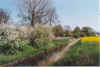 Frhjohr bi Michel Magens 20-00-03.jpg (33918 Byte)