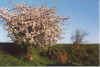 Inne Eck 22-00-23.jpg (34852 Byte)