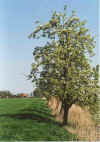 Karkreeg mit Bm 17-00-37e.jpg (36752 Byte)