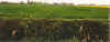 Kiek opt Drp 21-00-34a.jpg (16279 Byte)