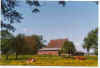 Koeh kieken 13-99-30.jpg (25505 Byte)