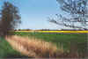 Kh un Raps an Langenhals 19-00-26.jpg (30431 Byte)