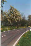 Kruemm bi de Moehl 1-92-28.jpg (131374 Byte)