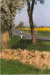 Mank Beeren hendoer 1-95-18a.jpg (159607 Byte)
