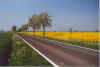 Na Kollmar to 3-92-09.jpg (17908 Byte)