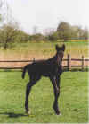 Op hoge Been 20-00-12.jpg (22420 Byte)