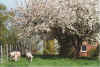 Quartett nnern Appelboom 18-00-16a.jpg (46433 Byte)