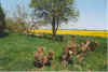Utschoten 21-00-29a.jpg (37790 Byte)